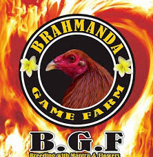 Ijo kedas, wangkas, biying kuning pellet,mate selem bangkarna. Belajar Rumusan Pengayam Ayaman Brahmanda Game Farm Facebook