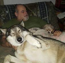 Profile for Donavan Monceaux