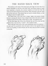 Bridgman Complete Guide To Drawing From Life Pdf Pdfy Mirror Bridgman George Bridgman Life Drawing