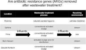 Abundance Of Antibiotic Resistance Genes In Five Municipal