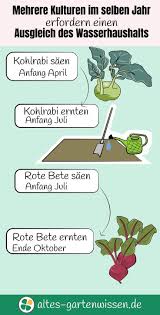 Several Crops In The Same Year Require Balancing The Water Balance Haus Und Garten Garten Garten Planen