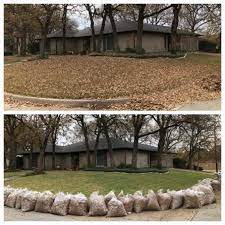 Before And After Of A Huge Leaf Removal Project At Handsome Lawn Service Cool Pictures Cool Photos Lawn Service