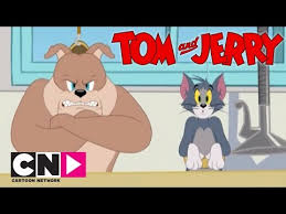 Tom Jerry Show I Spike Ve Tom I Cartoon Network Turkiye Youtube