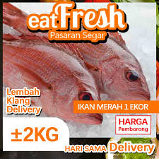 Jika mendengar kata meterai tentu masyarakat yang khususnya berada di negara indonesia tidak awam lagi dengan hal tersebut. Ikan Merah Red Snapper 2kg 1 Ekor Segar Dari Kuala Selangor Sama Hari Delivery Shopee Malaysia