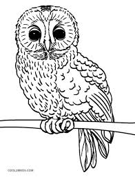 Learn to identify owls, including what tools are necessary, what to look for, and other clues to use for proper owl identification. Free Printable Owl Coloring Pages For Kids