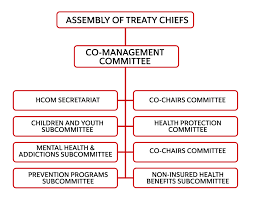 Health Co Management Treaty 8 First Nations