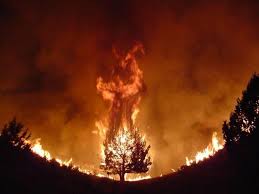 641 likes · 267 talking about this. Login Or Sign Up Fire Demon Ghost Photos Fire And Ice