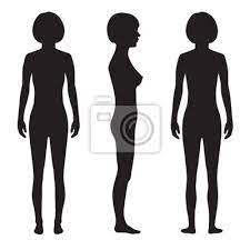 A new study examines the psychological effects of a single exercise session on young women and shows how working out can make us feel stronger and thinner. Human Body Anatomy Front Back Side Vector Woman Silhouette Fototapete Fototapeten Schaufensterpuppe Anteil Schulter Myloview De