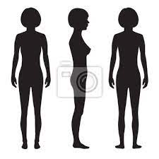 Human body anatomy, vector man front back side male size chart anatomy human character, people dummy front and view side body silhouette, isolated see human back anatomy stock video clips. Human Body Anatomy Front Back Side Vector Woman Silhouette Fototapete Fototapeten Schaufensterpuppe Anteil Schulter Myloview De