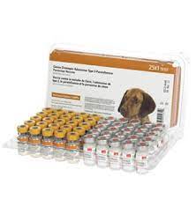 Akc english labrador puppy, lab puppies for sale in allegan mi , close to hamilton mi, holland mi, southaven mi. Buy Dog Vaccines Online Puppy Vaccinations Allivet