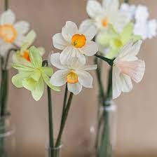 Paper Daffodil Tutorial Handmade Flowers Paper Paper Flowers Daffodils