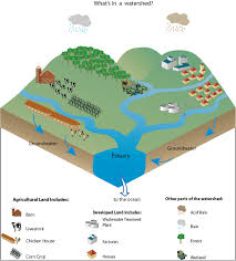 From Land To The Sea Learn Teach Ocean Science Teaching Ocean Science Science Education