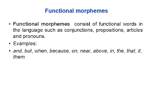 In linguistics, functional morphemes, also sometimes referred to as functors, are building blocks for language acquisition.a functional morpheme (as opposed to a content morpheme) is a morpheme which simply modifies the meaning of a word, rather than supplying the root meaning. Morphology And Word Formation Definition In Linguistics Morphology