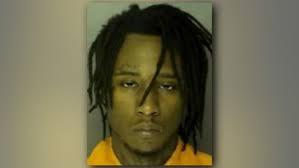 Drugs, Gun, Human Teeth Found