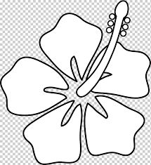 Hawaii Drawing Hibiscus Flower Cartoon Hibiscus White Pencil Leaf Png Klipartz Learn how to draw a pretty hibiscus flower easy, step by step drawing lesson tutorial. hawaii drawing hibiscus flower cartoon