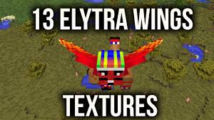 13 New Textures For Elytra Wings Texturas Para Asas Elytra Texturas Para Alas Elytra Asas Minecraft