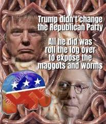 This post is making its way up to the top of our Trending Feed right  now👏👏👏! If you're voting against Trump in November, sign up to Liker at  www.liker.com/signup