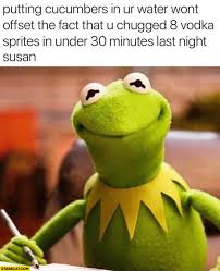 Outting Cucumbers In Your Water Won T Offset The Fact That You Chugged 8 Vodka Sprites In Under 3 Funny Memes Comebacks Super Funny Memes Funny Relatable Memes