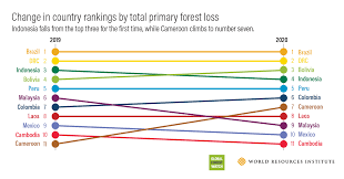 Easily find the exact time difference with the visual time zone converter. Global Forest Watch Mexico Has Fallen In Rank To 10 In The Top Countries For 2020 Primary Forest Loss Discover More About Treecoverloss In Latin America On The Globalforestreview Http Ow Ly 9qdy50eba9m