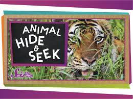Camouflage Animal Hide Seek Animal Hide Camouflage Activities Zoo Activities