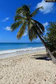 l anse des salines avec au loin le rocher du diamant sainte anne martinique paradiseislandbahamaspalac bahamas island caribbean islands carribean islands