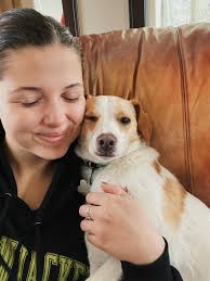 The kitties LOVE when guests come to snuggle 🤎 These guys were wiped out  after a weekend of Cocoa & Cuddles!