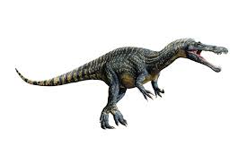 Image result for Suchomimus