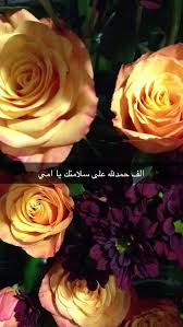 حمدلله على سلامتك امي skin care mask rose plants