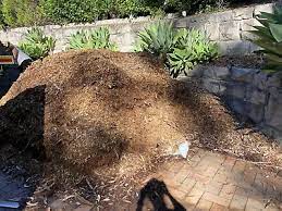 Maybe you would like to learn more about one of these? Free Wood Chips In Melbourne Region Vic Services For Hire Gumtree Australia Free Local Classifieds