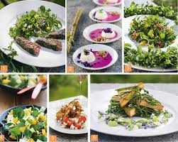 Je Cuisine Les Plantes Sauvages Recettes De Cuisine Cuisine Sauvage Cuisine