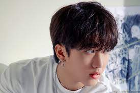 Stray kids has overall nice line distribution, they are both main rappers, hyunjin and felix are lead changbin : Stray Kids Changbin Complete Profile Facts And Tmi