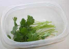 We did not find results for: How To Keep Cilantro Fresh Finegardening