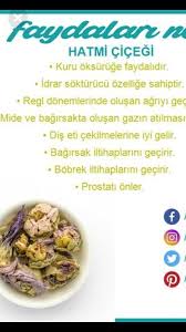 Aslihan Adli Kullanicinin Saglik Panosundaki Pin Yemek Beslenme Saglikli