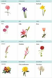 Zodiac Signs And Their Birth Months Zodiaccity Birth Flower Tattoos Birth Month Flowers Birth Flowers