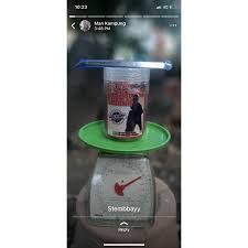 Buaya tembaga terbesar ditemui di sungai. Buy Umpan Tapa Memerang Sungai Seetracker Malaysia