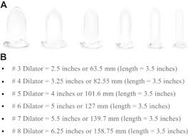 We did not find results for: Vaginismus Treatment Clinical Trials Follow Up 241 Patients Sciencedirect