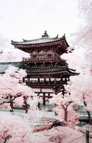 Epingle Par Eleanore 김 사랑 Sur Voyage De Luxe Photographie Magnifique Photos Paysage Japon Paysage