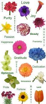 Not only are flowers beautiful additions to our homes, weddings and special events, they also have different meanings attached to them. Pin On Blog Posts