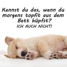 Sie hat schon zwei wecker am bett stehen, und trotzdem muss ich sie noch mehrmals auffordern aufzustehen. Schonen Guten Morgen Spruche Und Bilder Fur Ganz Fruh Morgens