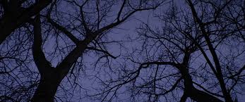 Super Dark Times – [FILMGRAB]