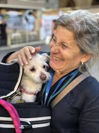 Six Legs Walking Tour of Florence