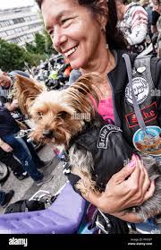 Eddy st hi-res stock photography and images