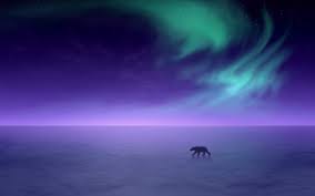Aurora Borealis Alaska Aurora Borealis Alaska Northern Lights Northern Lights Wallpaper
