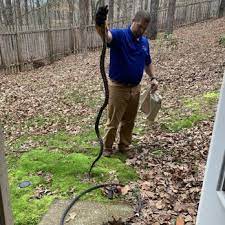 Ants, roaches, mosquitoes, termites, wildlife, or any pest problem. Canton Termite And Pest Control Pest Control 150 North St Canton Ga Phone Number