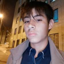 Aaron Vargas (missaelvargasmachucaleon)