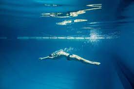Underwater Picture Of Male Swimmer Swimming I Swimming Pool Training Sport Stock Photo 180572688
