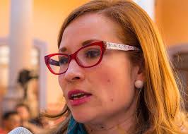 Ciudadanos deben examinar decisiones de nuevo gobierno: Sarah Patricia Cerna 