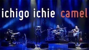 Recorded in tokyo at the ex theatre in roppongi during may 2016. Camel Mother Road Live Youtube