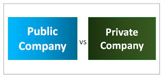 Public Company Vs Private Company Top 6 Must Know Differences