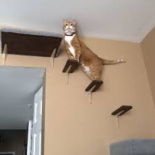 We did not find results for: Long Cat Hammock Bed 4 Wood Cat Steps Wall Mounted Cat Etsy Cat Wall Shelves Cat Walkway Cat Steps